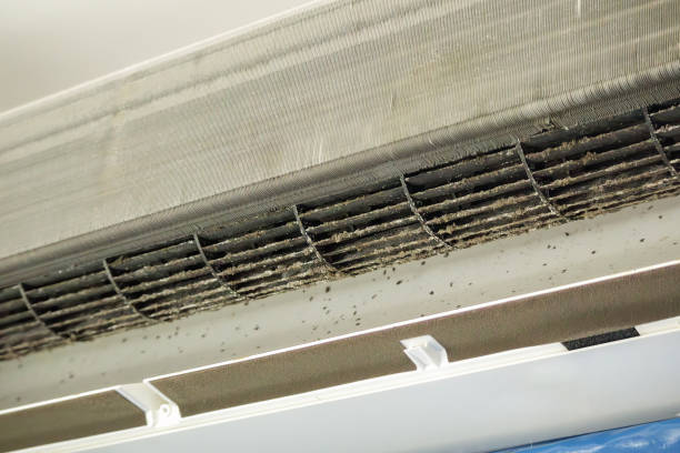 Best HVAC Air Duct Cleaning  in Orange Lake, NY
